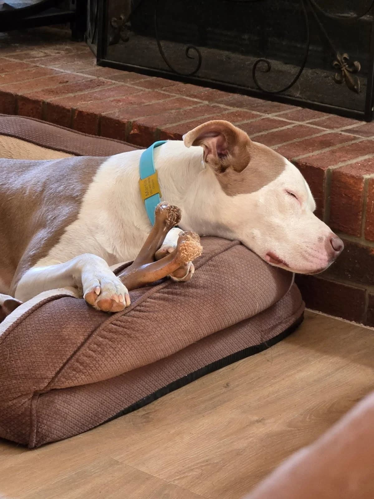Lynne and Martin testimonial photo
