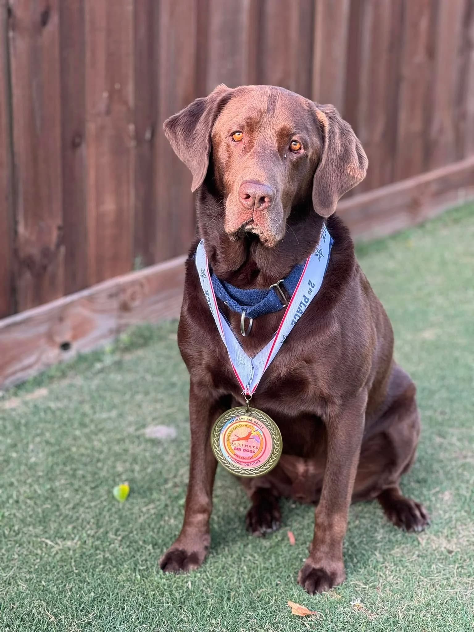 Allison and Hank testimonial photo