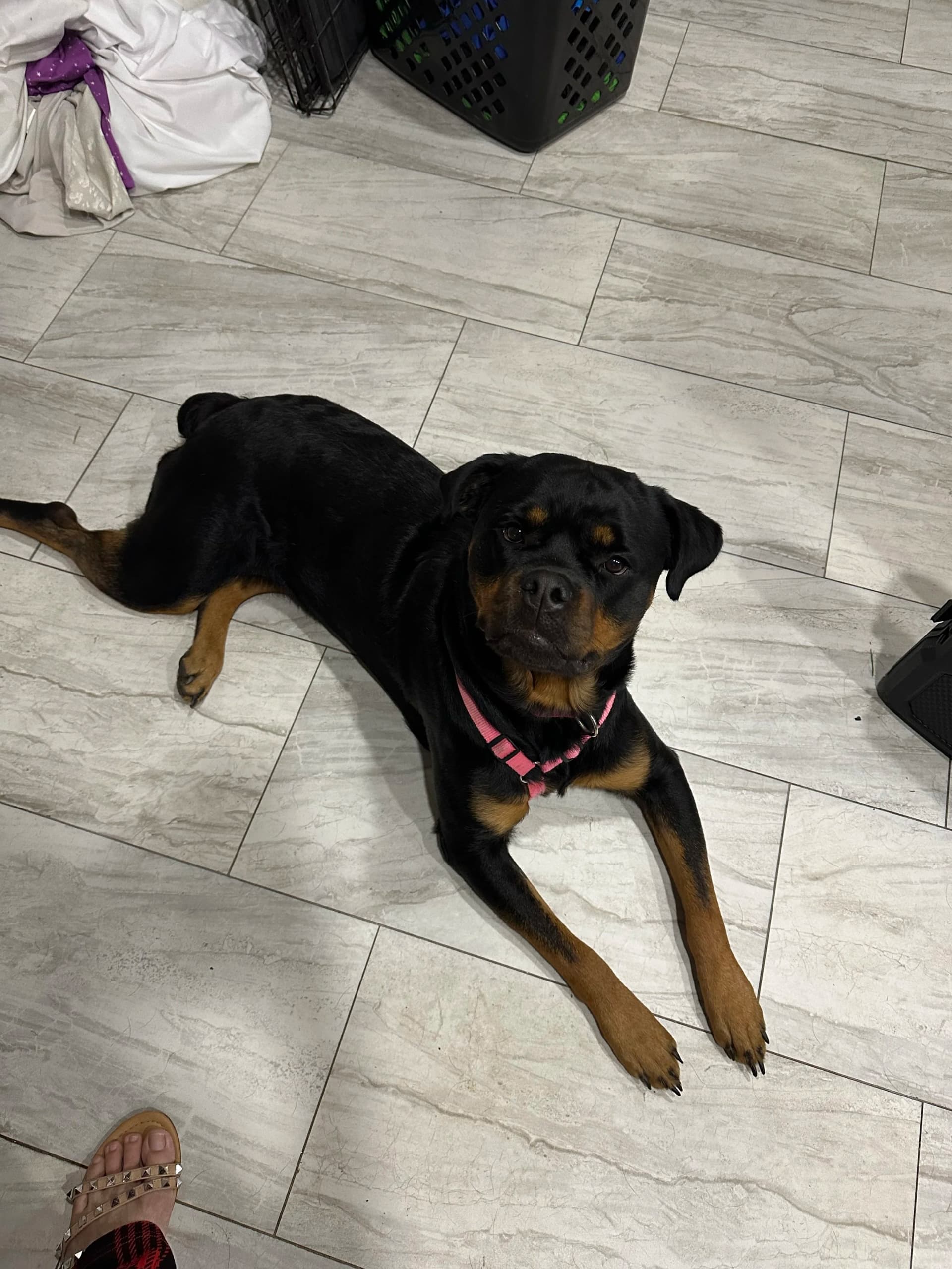 Blanca and Xena testimonial photo