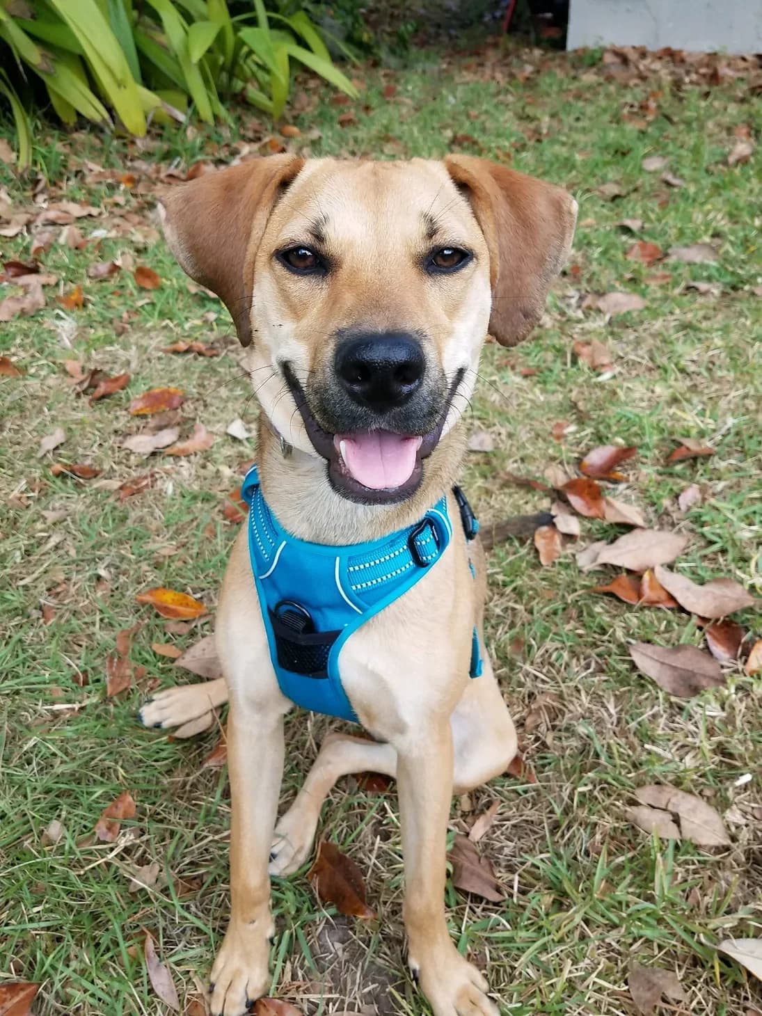 Joyce, Mark, and Brittany testimonial photo
